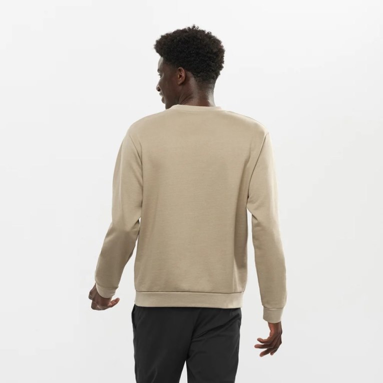 Beige Salomon Outlife Logo Summer Men's Sweatshirt | IE CU0328